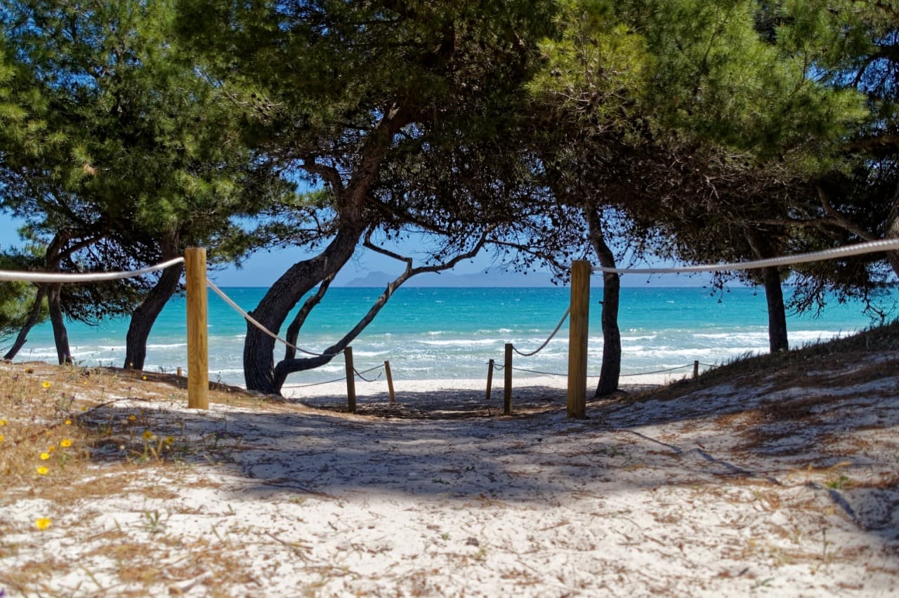 Mallorca in Autumn: Weather, Things to Do, and the Best Time to Visit in October and November
