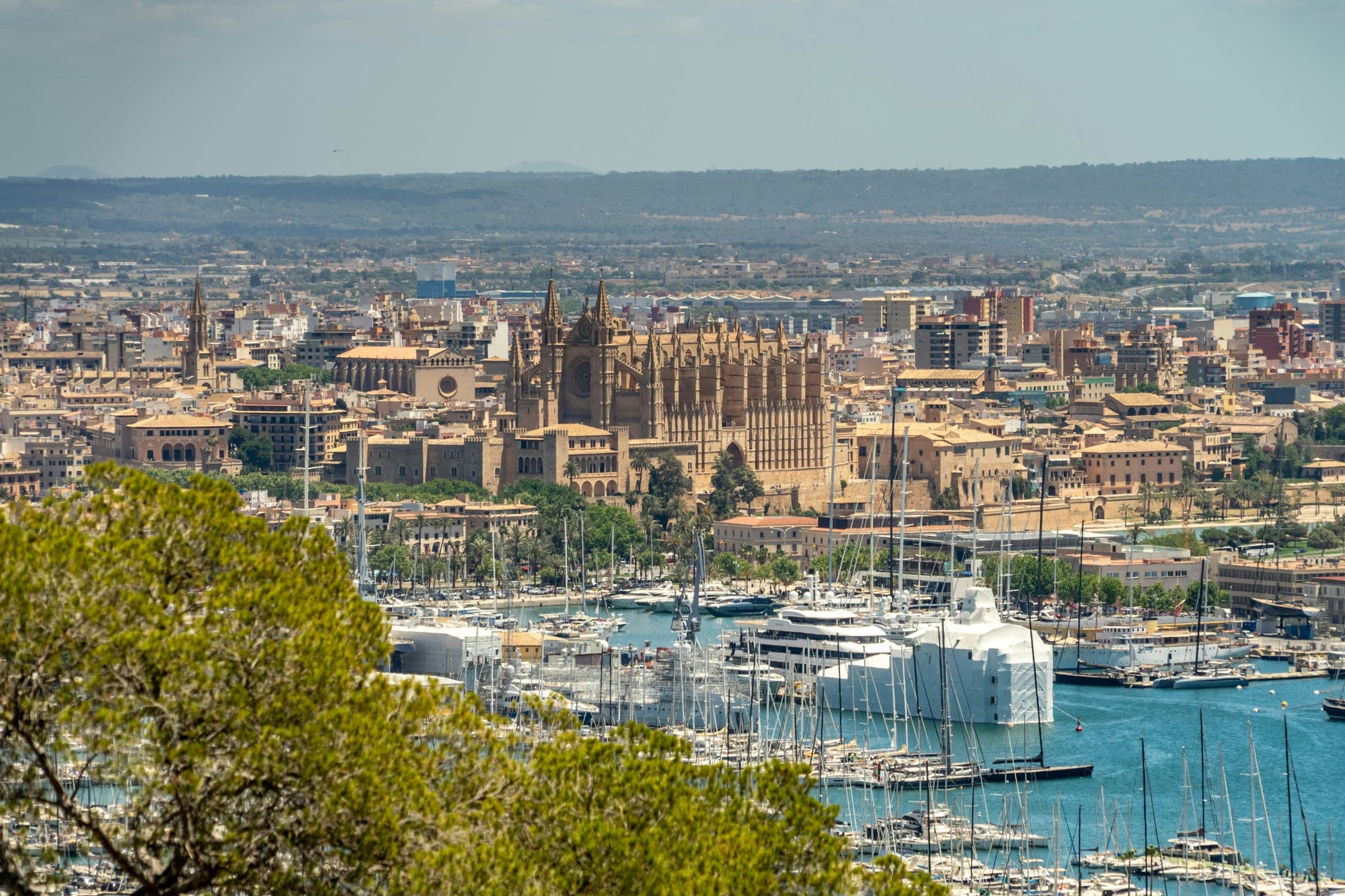 Palma Boat Show 2026: What to Expect This Year